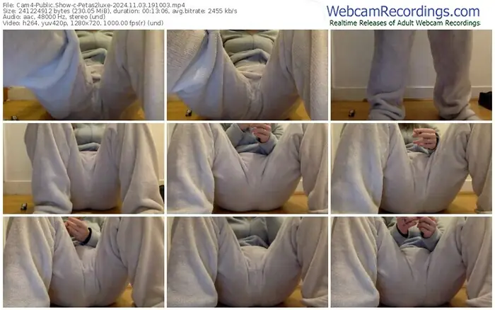 2024/11/03/cam4-petas2luxe-19-10-03