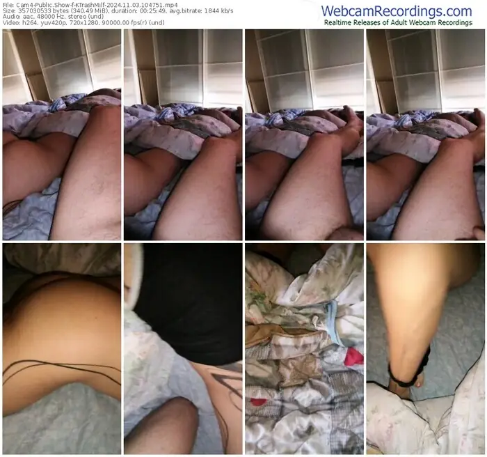 2024/11/03/cam4-ktrashmilf-10-47-51