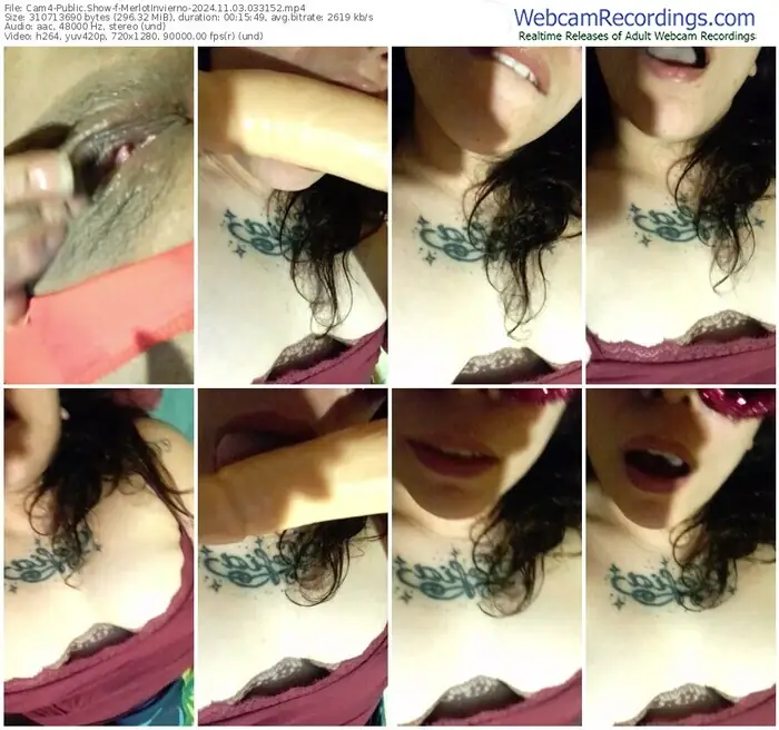 2024/11/03/cam4-merlotinvierno-03-31-52