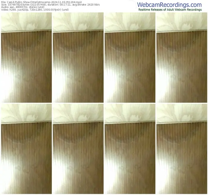 2024/11/03/cam4-merlotinvierno-05-12-04