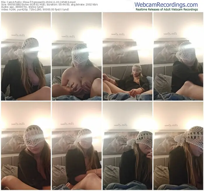 2024/11/03/cam4-tigresse03-19-58-19