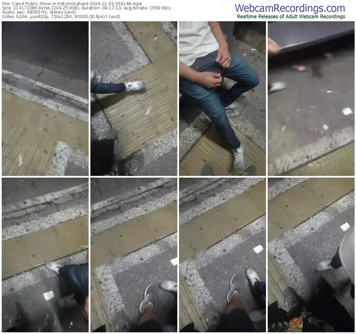 2024/11/03/cam4-fetichistahard-06-31-48