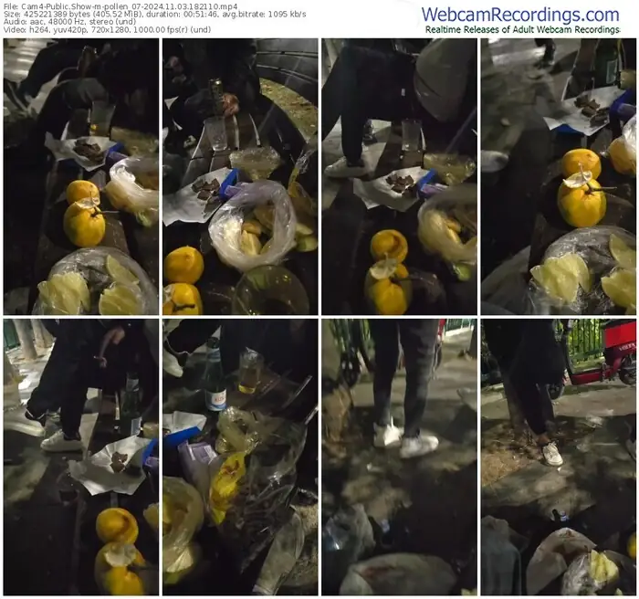 2024/11/03/cam4-pollen_07-18-21-10