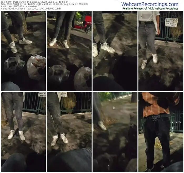 2024/11/03/cam4-pollen_07-19-14-04