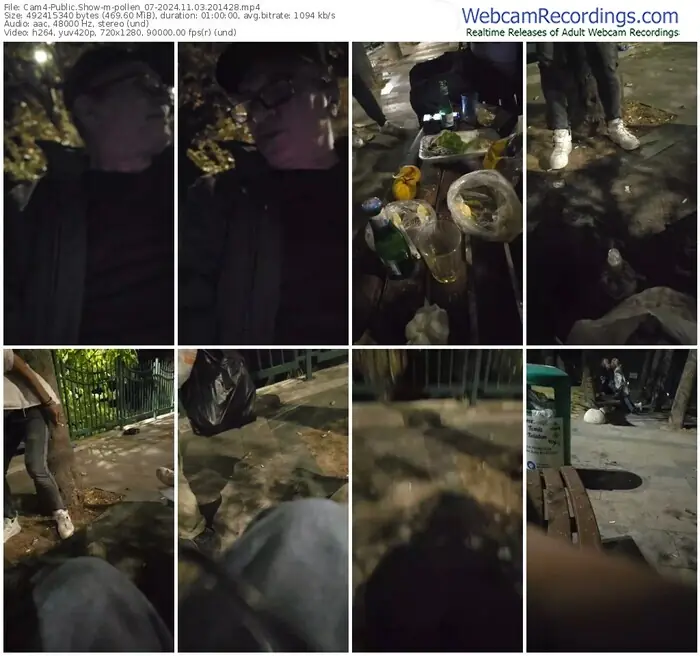 2024/11/03/cam4-pollen_07-20-14-28