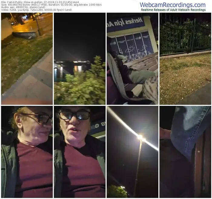 2024/11/03/cam4-pollen_07-21-14-52