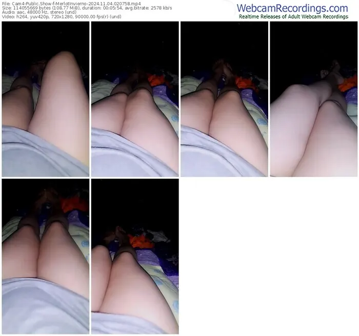 2024/11/04/cam4-merlotinvierno-02-07-58