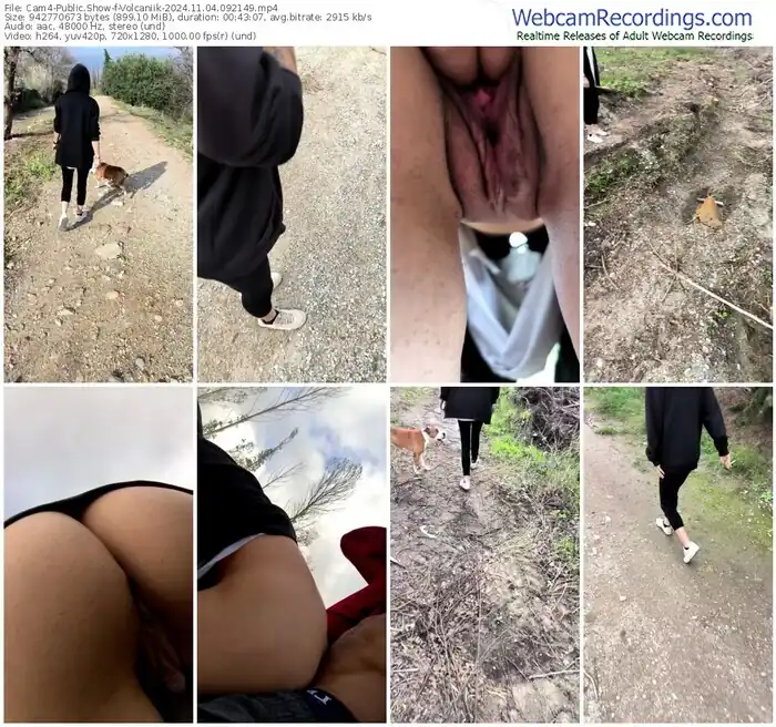 2024/11/04/cam4-volcaniik-09-21-49