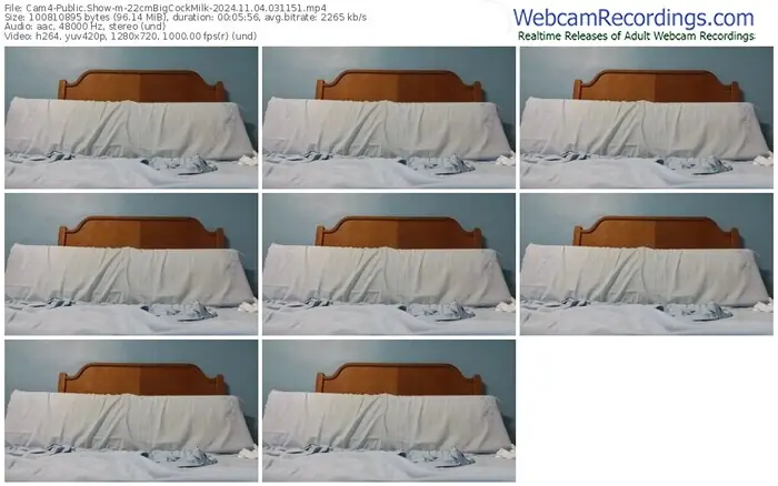 2024/11/04/cam4-22cmbigcockmilk-03-11-51