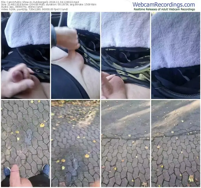 2024/11/04/cam4-outdoorgeil1-12-40-22