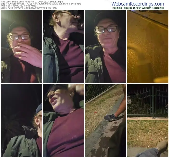 2024/11/04/cam4-pollen_07-19-40-51