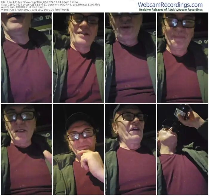 2024/11/04/cam4-pollen_07-20-41-19