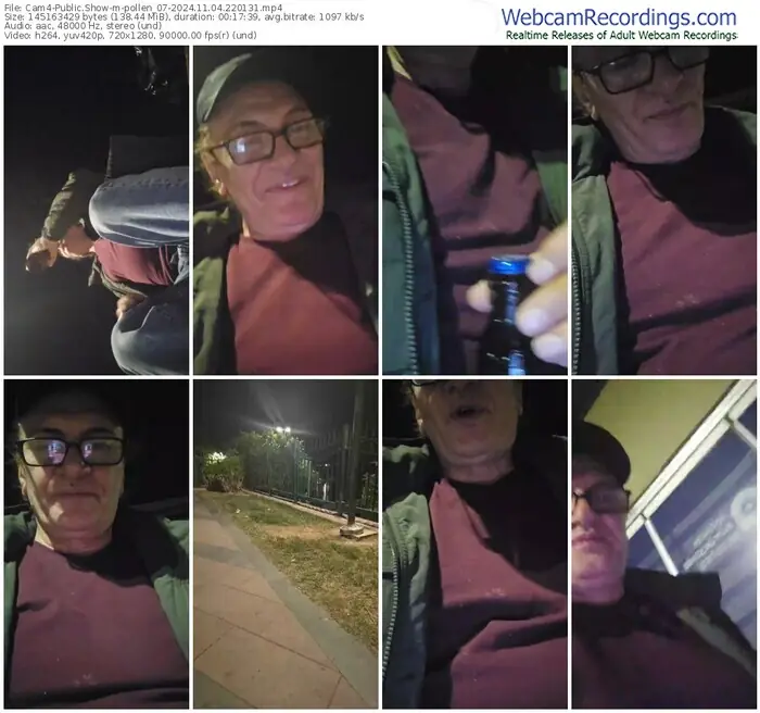 2024/11/04/cam4-pollen_07-22-01-31