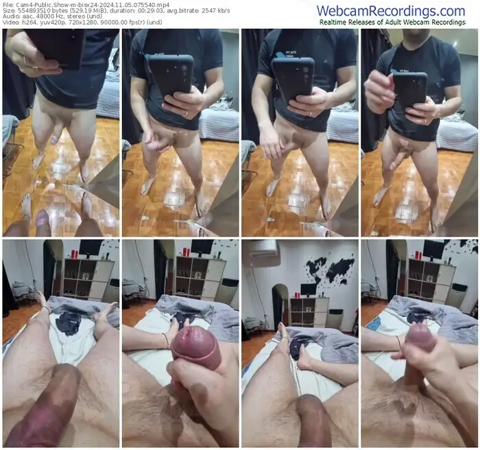 2024/11/05/cam4-bisx24-07-55-40