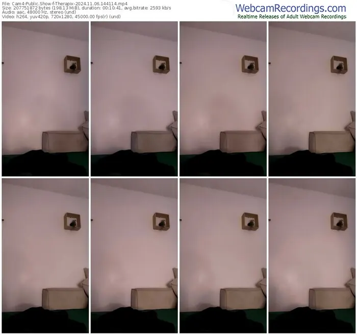 2024/11/06/cam4-therapix-14-41-14