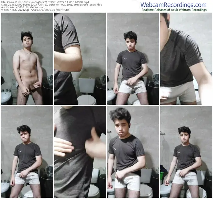 2024/11/06/cam4-bigdick21cmpezl-17-03-28