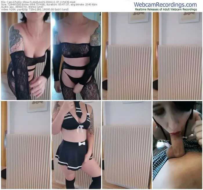 2024/11/07/cam4-libellule29-11-56-39