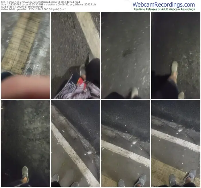 2024/11/07/cam4-fetichistahard-04-42-44