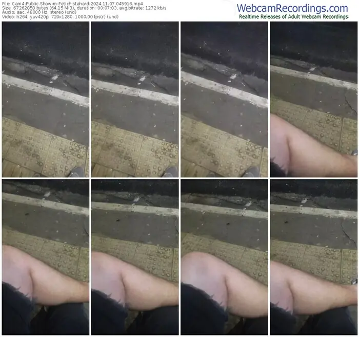 2024/11/07/cam4-fetichistahard-04-59-16