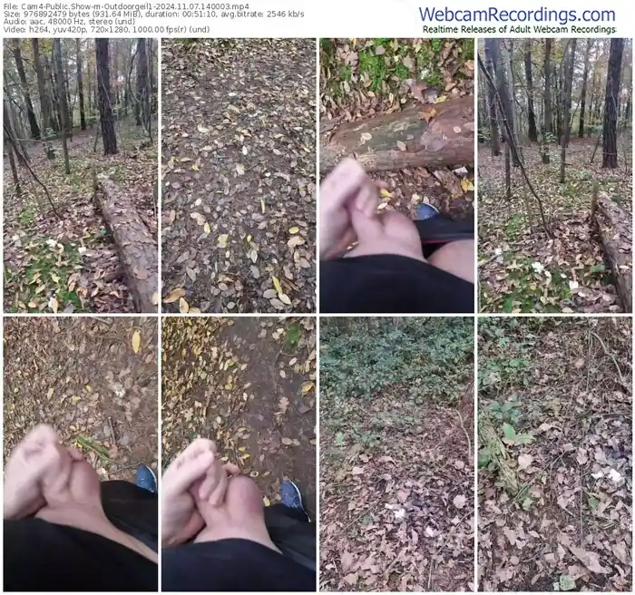 2024/11/07/cam4-outdoorgeil1-14-00-03