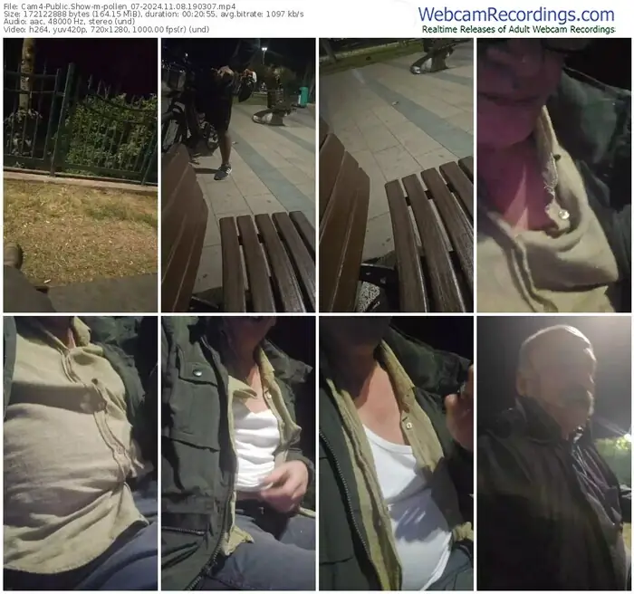 2024/11/08/cam4-pollen_07-19-03-07