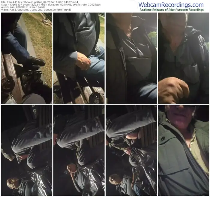 2024/11/08/cam4-pollen_07-19-46-37