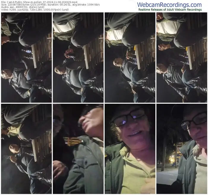 2024/11/08/cam4-pollen_07-20-43-29