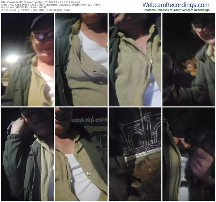 2024/11/08/cam4-pollen_07-21-11-30