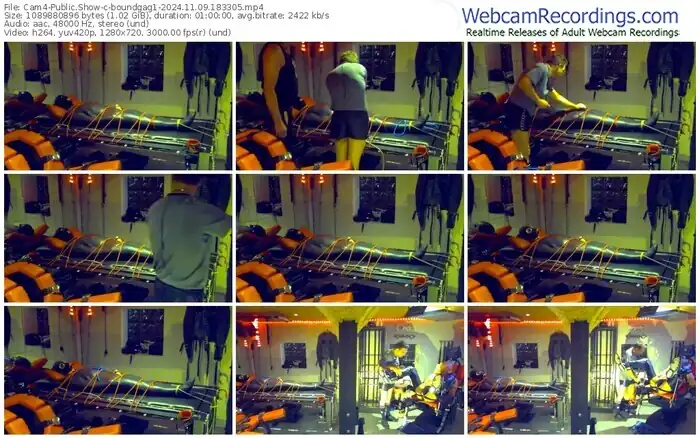 2024/11/09/cam4-boundgag1-18-33-05