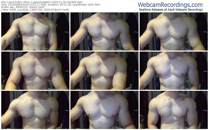 2024/11/09/cam4-ganymede847-16-18-43