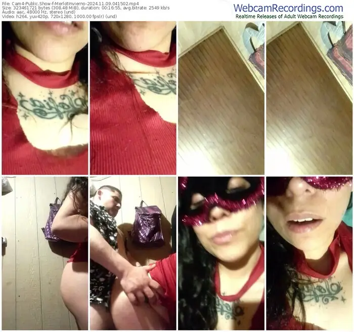 2024/11/09/cam4-merlotinvierno-04-15-02