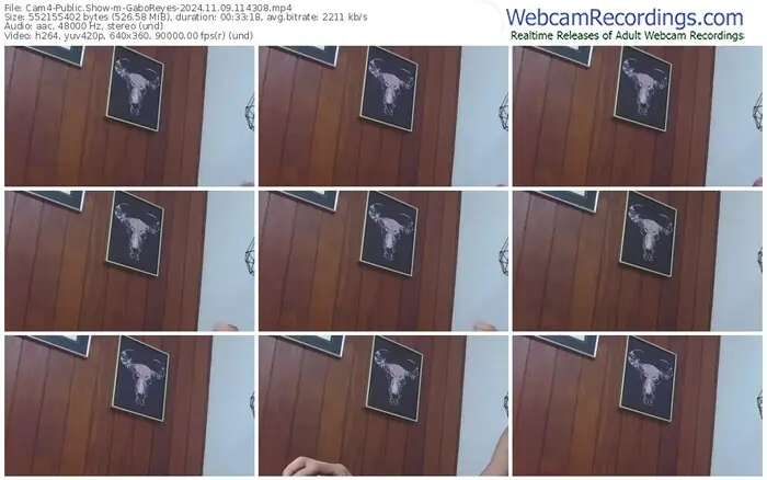 2024/11/09/cam4-gaboreyes-11-43-08