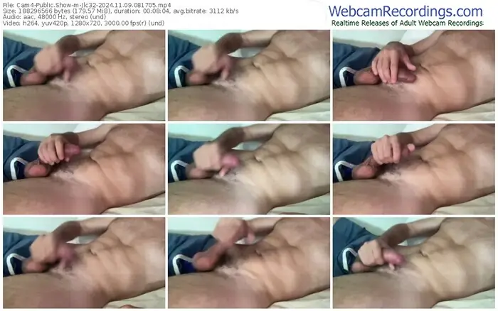 2024/11/09/cam4-jlc32-08-17-05