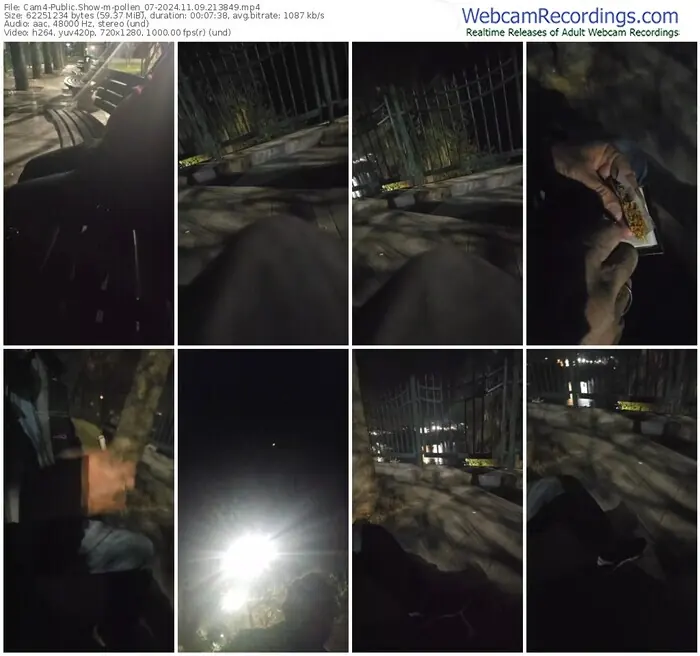 2024/11/09/cam4-pollen_07-21-38-49