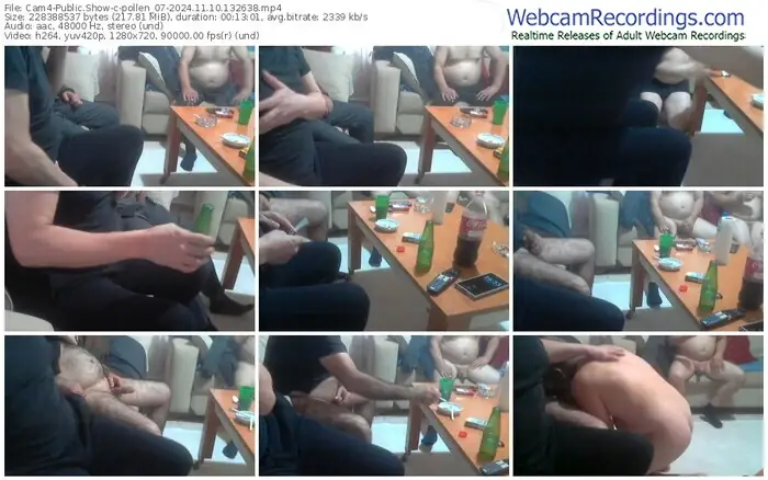 2024/11/10/cam4-pollen_07-13-26-38