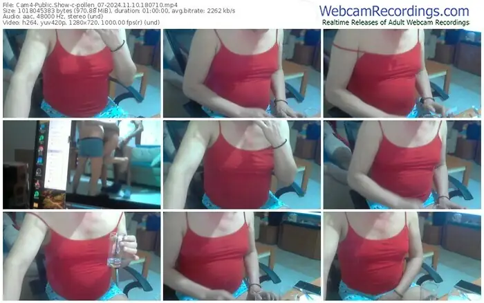 2024/11/10/cam4-pollen_07-18-07-10