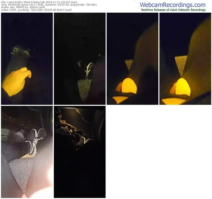 2024/11/10/cam4-fanny186-22-16-15