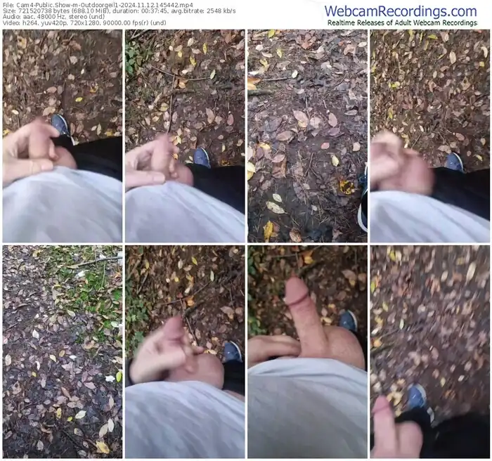 2024/11/12/cam4-outdoorgeil1-14-54-42