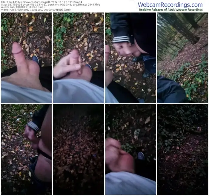 2024/11/12/cam4-outdoorgeil1-15-35-19