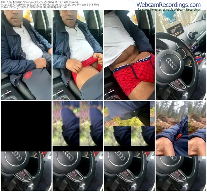 2024/11/12/cam4-likescock5-14-02-55