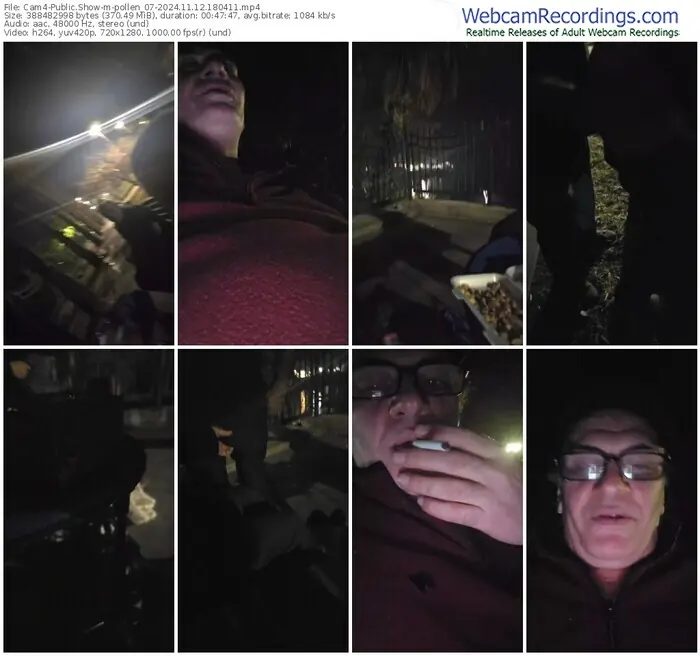 2024/11/12/cam4-pollen_07-18-04-11