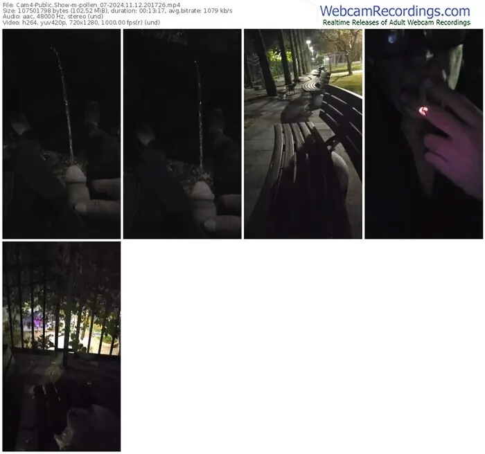 2024/11/12/cam4-pollen_07-20-17-26