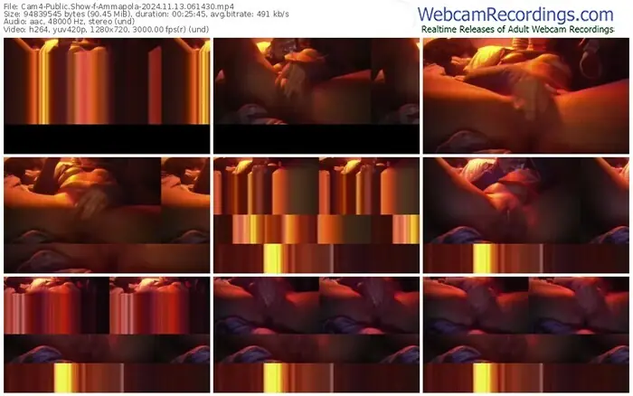 2024/11/13/cam4-ammapola-06-14-30