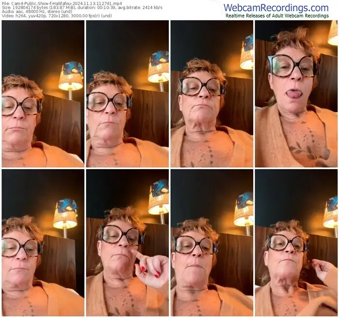 2024/11/13/cam4-habfafou-11-27-41