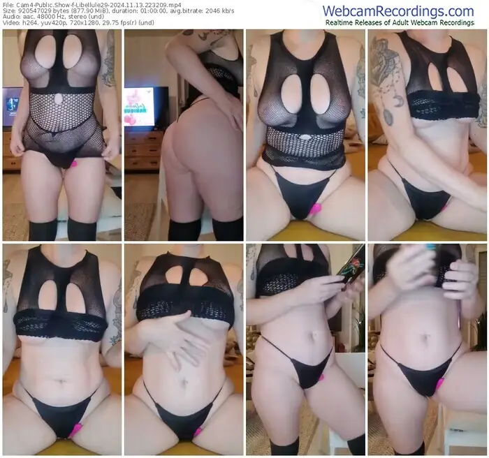 2024/11/13/cam4-libellule29-22-32-09