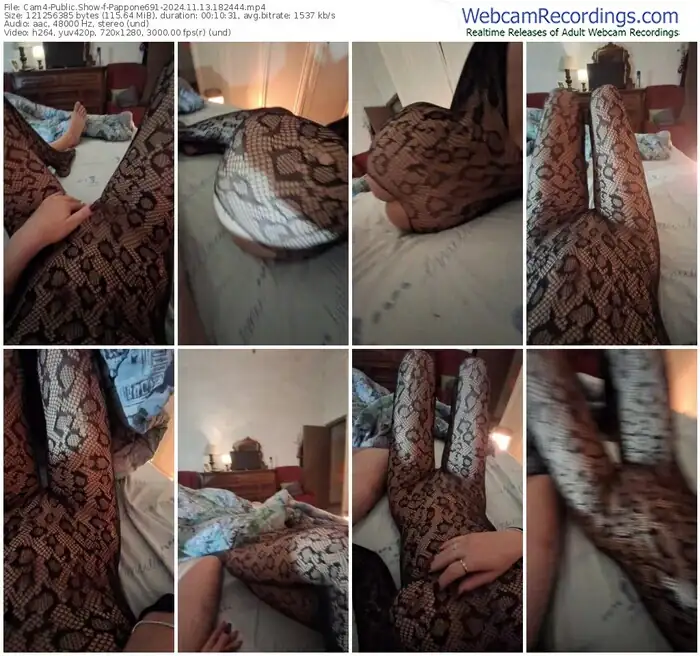 2024/11/13/cam4-pappone691-18-24-44