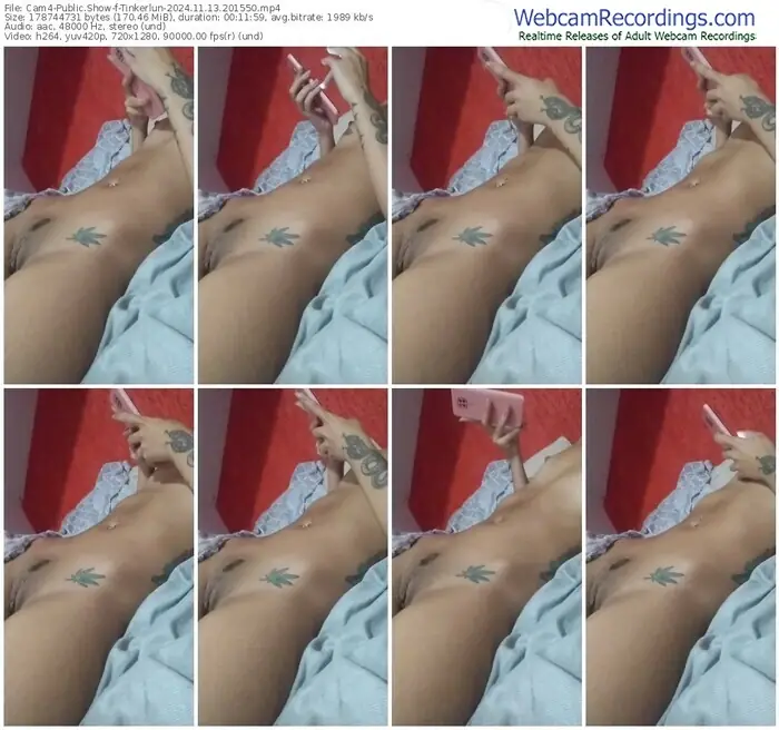 2024/11/13/cam4-tinkerlun-20-15-50