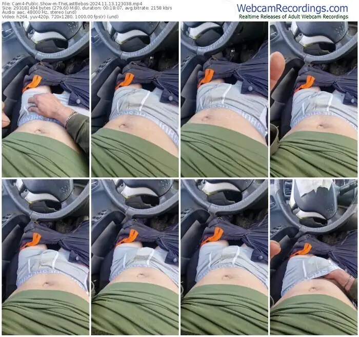 2024/11/13/cam4-thelastbebos-12-30-38