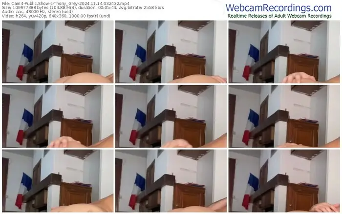 2024/11/14/cam4-thony_grey-03-24-32