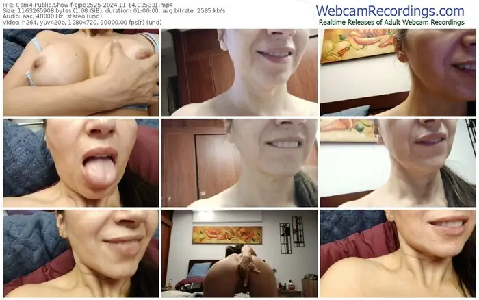 2024/11/14/cam4-cjpq2525-03-53-31